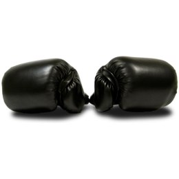 Rękawice Bokserskie MASTER 12 Oz MASTER SPORT s.r.o.