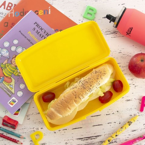 Pojemnik Lunchbox Śniadaniowy 500 ml ORION Zamykany 21 x 9 cm