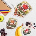 Zestaw 4 Pojemników Lunchbox Szczelny 900 ml ORION Retro na Żywność