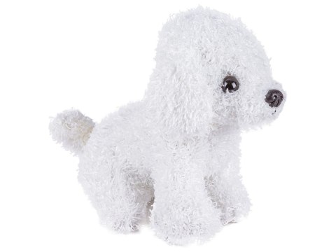 Zestaw Małego Weterynarza Transporter Dla Psa + Akcesoria Klatka Dla Zwierząt Weterynarz Doktor Pies Pluszak